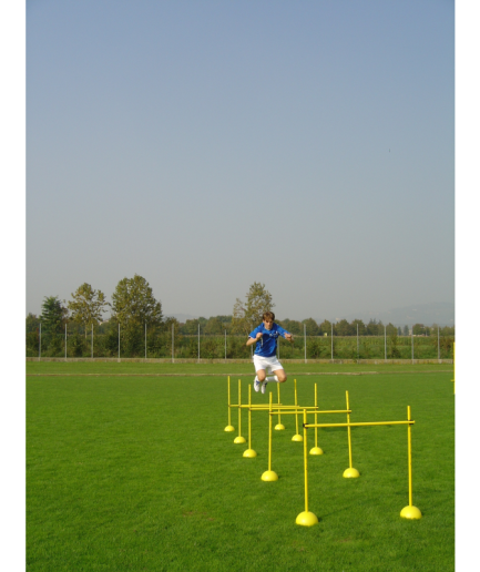 F 737/20 Prečke za trening do 100 cm